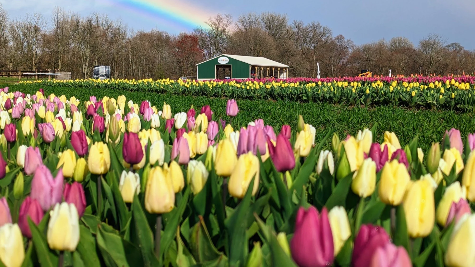 spring season New Jersey allergy season begins 2026 Dalton Farms