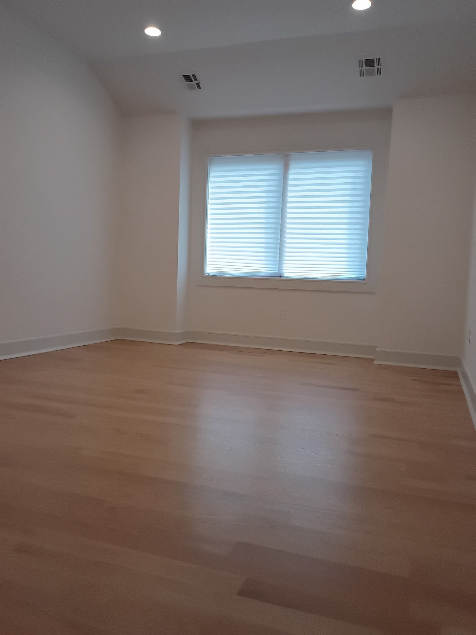 Professional Carpet Cleaning: What to Know Before You Book